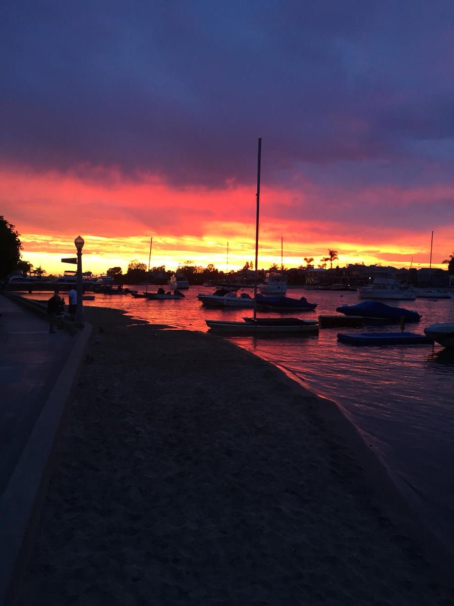 trob487's tweet image. Nice