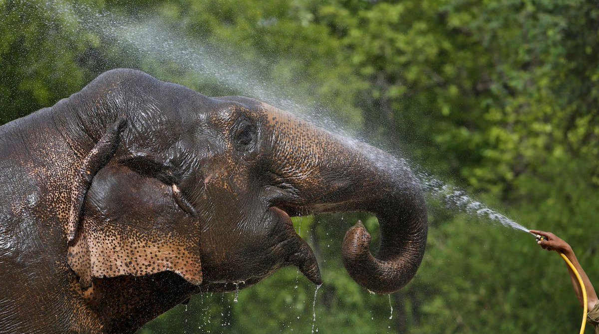 Attention aux fortes chaleurs de ces prochains jours en #Picardie #canicule <a href="/CourrierPicard/">Courrier picard</a> goo.gl/Lsrtnb