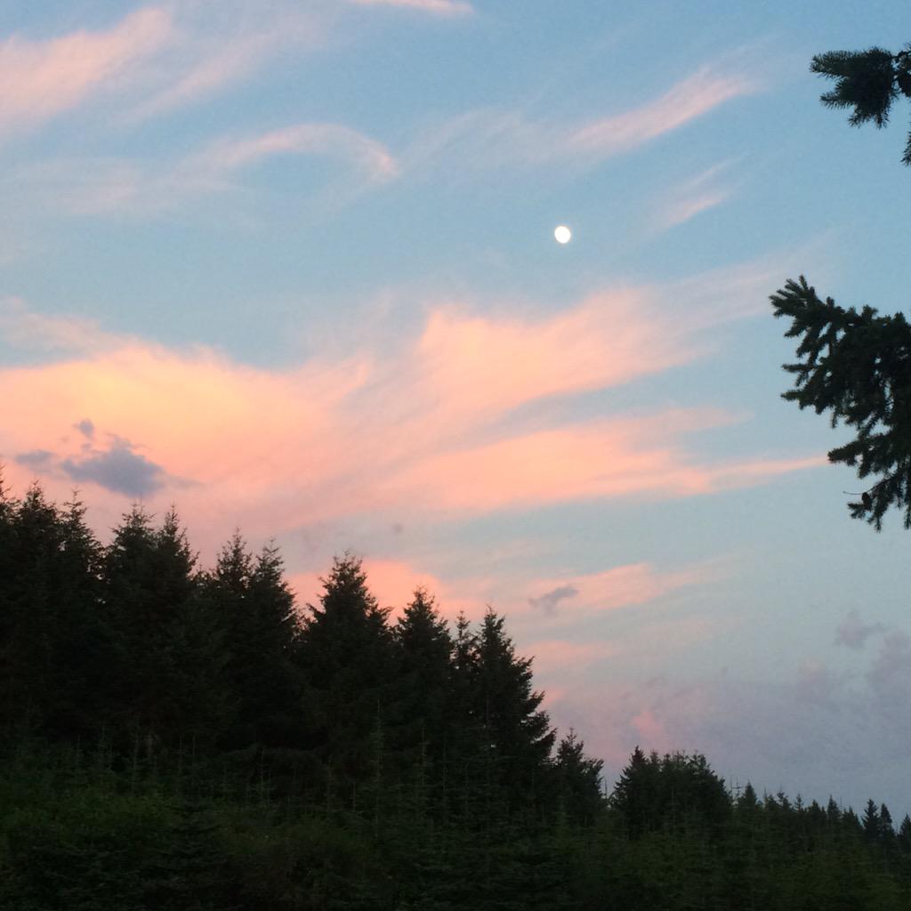 RachDavis96's tweet photo. The sky was positively unreal tonight ๐๐
๐ #sunsetfanatic http://t.co/Phwc0rx2EO