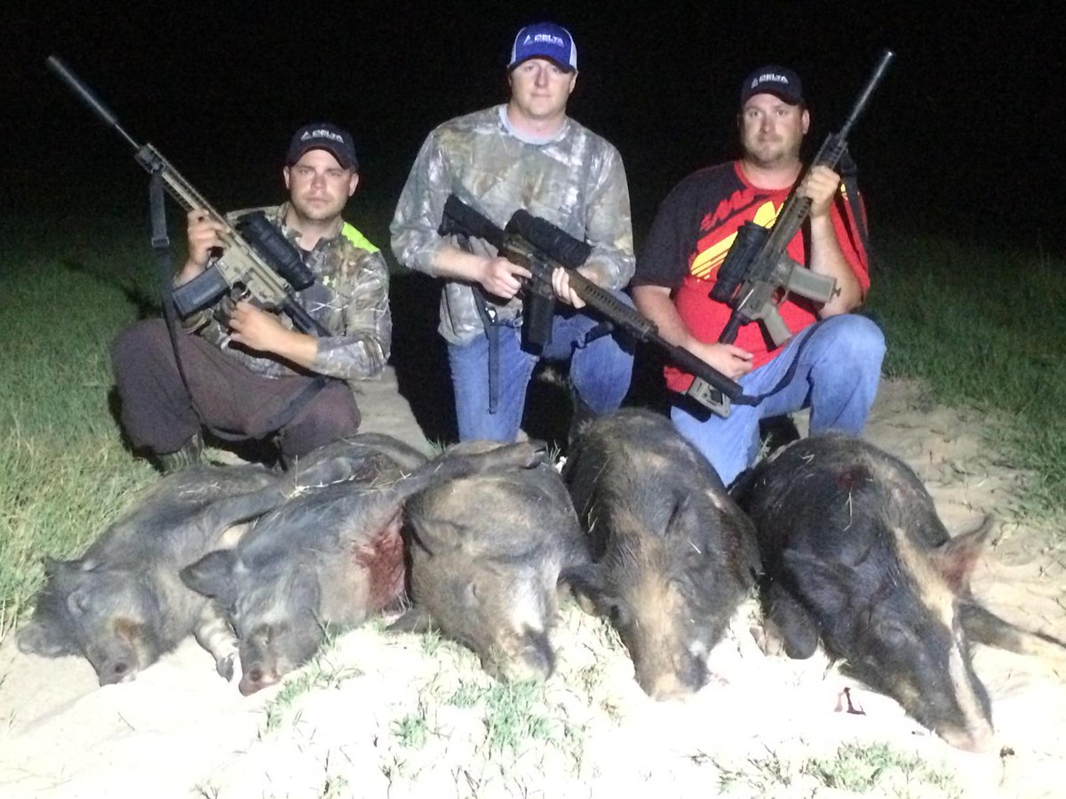 hog_xtreme's tweet photo. Five down on the first stalk. #blaserusa. #ableammo  #hornady #polarisrangercrew http://t.co/lWdtx26To2