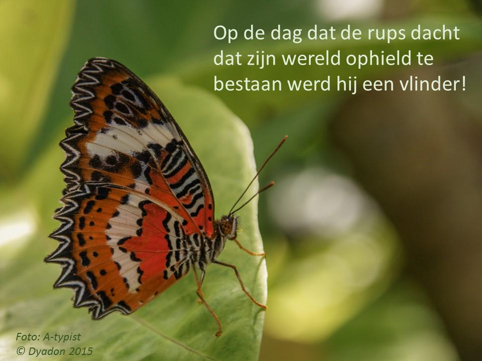AtypistAnne's tweet photo. Leuk die foto/tekst-samenwerkingen. :) Mag gedeeld worden! http://t.co/E3nxs8M06v