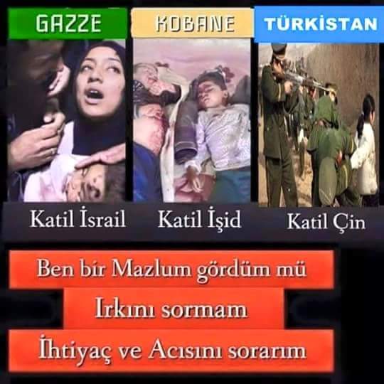 Acinin dili, dini, ırkı yoktur.