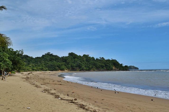 islandnesia's tweet photo. Beautiful scenery of soft sandy beach at Tamban Beach, Malang by @dwishendri46 #beach #travel #islandnesia http://t.co/iWg7UigH56