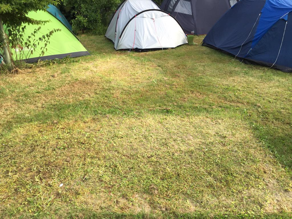 glastonbury's tweet photo. It's a lovely morning, so please take the time to love Worthy Farm and leave no trace. http://t.co/jMaGzRsYQP