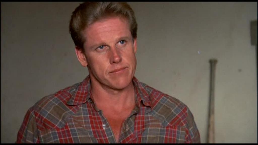 Happy 71th Birthday to actor GARY BUSEY!!    