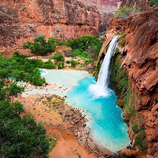 earthposts's tweet photo. Havasu Falls, Grand Canyon, Arizona http://t.co/SrsgVwyWRW