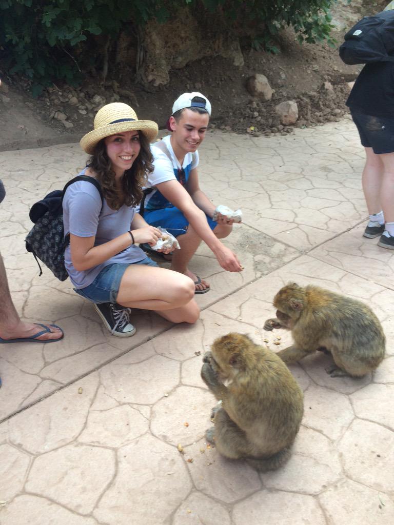 Newman6th's tweet photo. Monkey business. http://t.co/BAKRAmoAQB