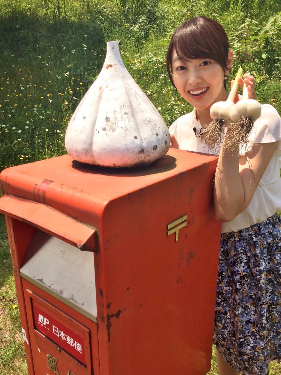 Atv青森テレビ Na Twitterze 小島祐希です ニンニク収穫の取材で田子町へ行ってきました なんと今年は 糖度も高く 甘いそうです 立派でしたよ 田子町には 至るところにニンニクのモニュメントがあるんですね 郵便ポストの上にもニンニク 街灯もニンニク