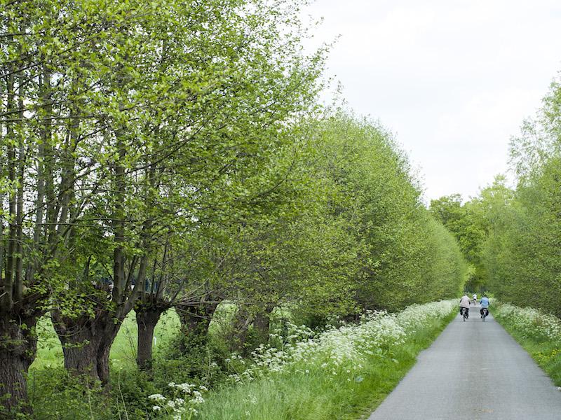 Permalink voor ingesloten afbeelding