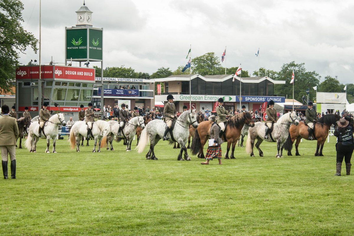 Galbraith_Group's tweet photo. View our @ScotlandRHShow album at
https://t.co/UcP9snfFSK #rhs2015 #moohoosive http://t.co/Hxprkrqe56