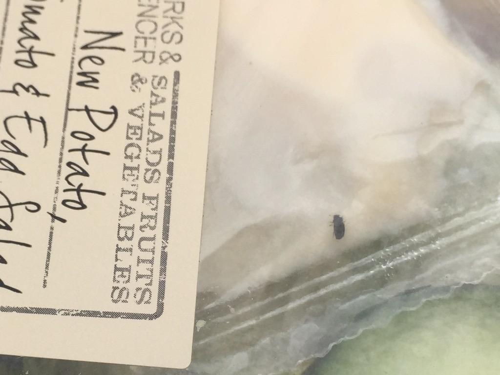 #marks&amp;spencer lunch gone wrong #bugsforlunch @G_Crockford <a href="/JayMj0209/">Mona Panchal</a>