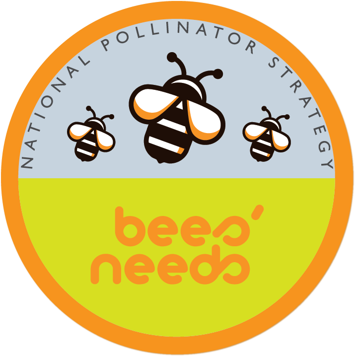 Whether you have a garden, woodland or agricultural land, you can help pollinators: wildlifetrusts.org/bees-needs/inf…