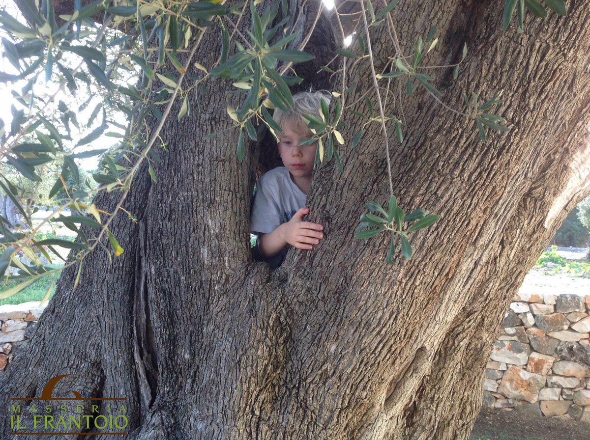 il #bambino e l'#albero che si fa grembo “Là dove tutto il mondo si incontra in un nido” recita un versetto sanscrito