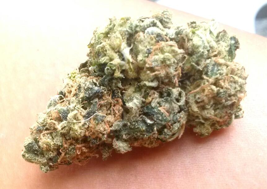 Bailey899's tweet image. THIS IS THE SHIT....