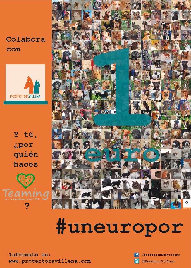 EPDV's tweet photo. La Protectora de Villena lanza la campaña solidaria #uneuropor: http://t.co/Vj8vJzN98f http://t.co/jY4FYAbItu