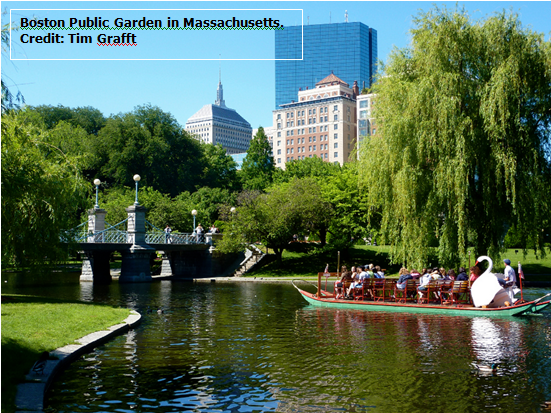 Introducing Massachusetts' garden at <a href="/The_RHS/">The RHS</a> #RHSHampton based on Boston's views @ttmworld @SadieMayStudios <a href="/USAinUK/">U.S. Embassy London</a>