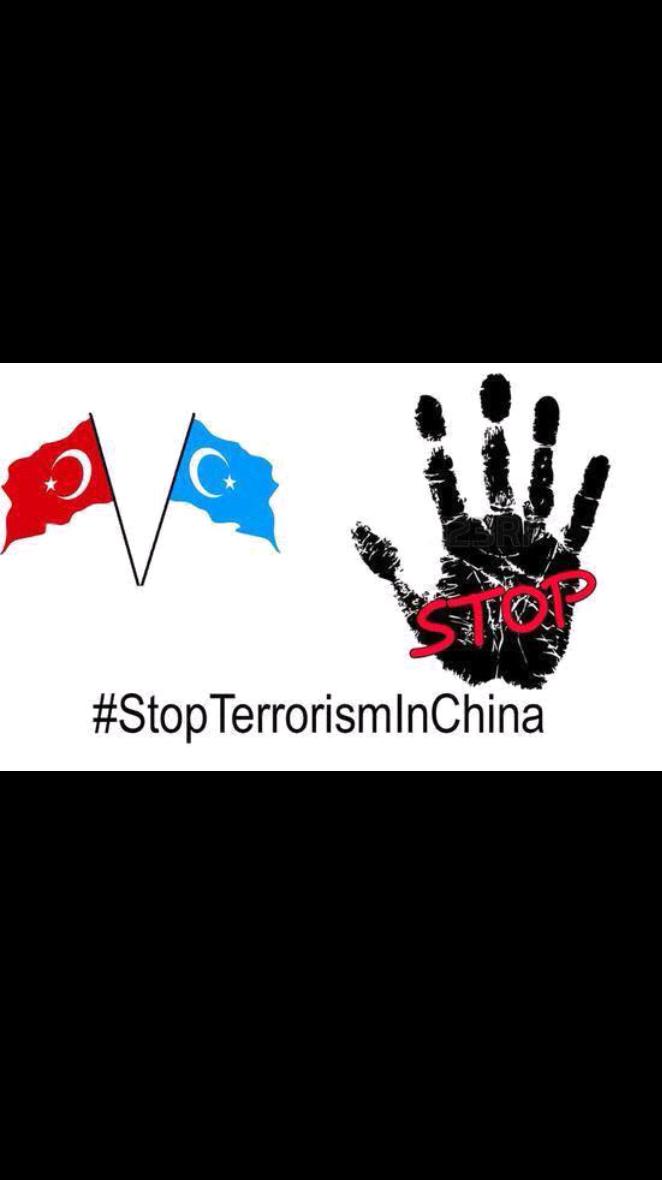 Kendi soyumuzdan kendi ümmetimizden gelen Türk kardeşlerimiz katledilirken Susma Türkiye!  #StopTerorisminChina