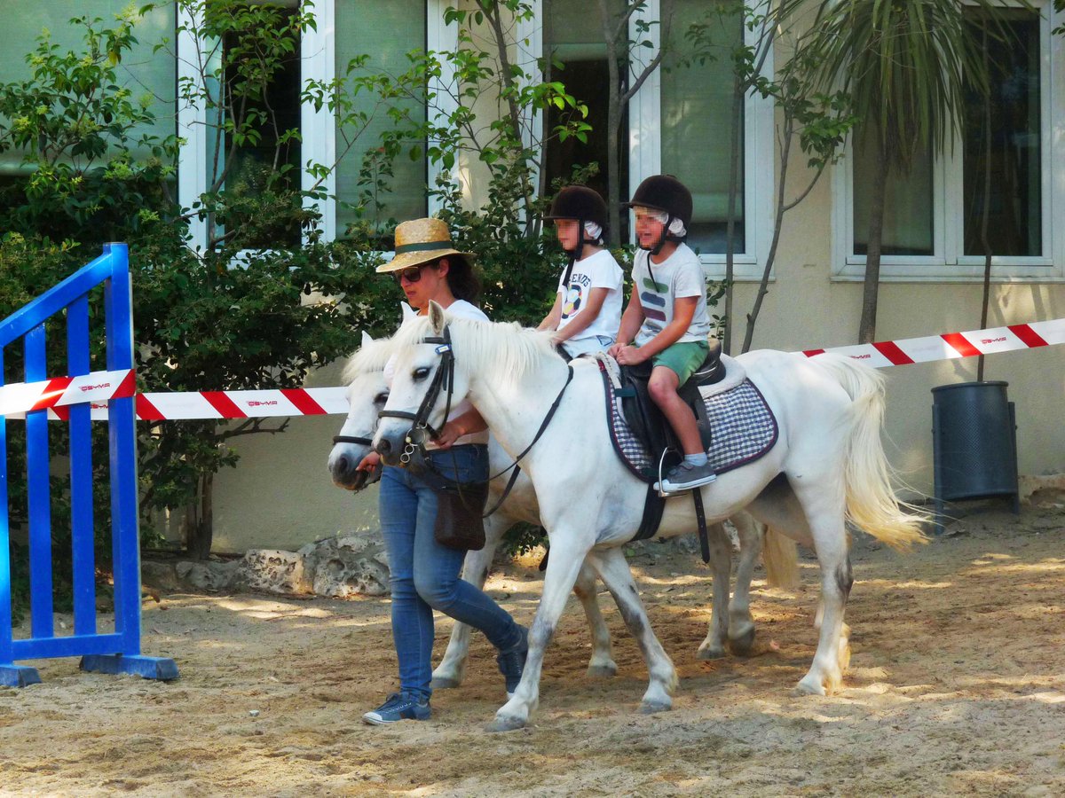Los niños se divierten montando a caballo y aprenden a cuidar a los  animales #Equitación #Hípica /@SotoEspinar, image size:1200x900