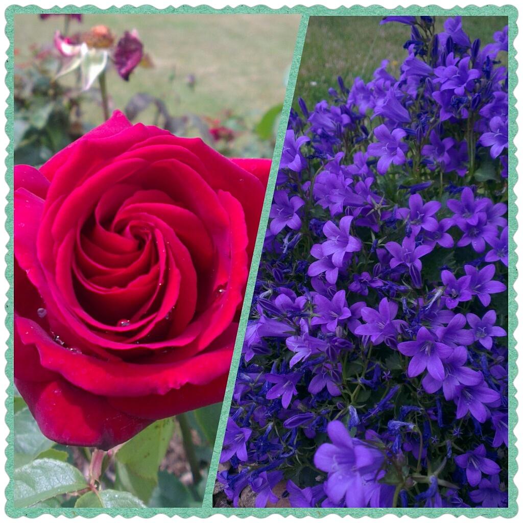 Roses are red, violets are blue, We're ready to host conference, all that's missing is you.
Call us on 01832720777