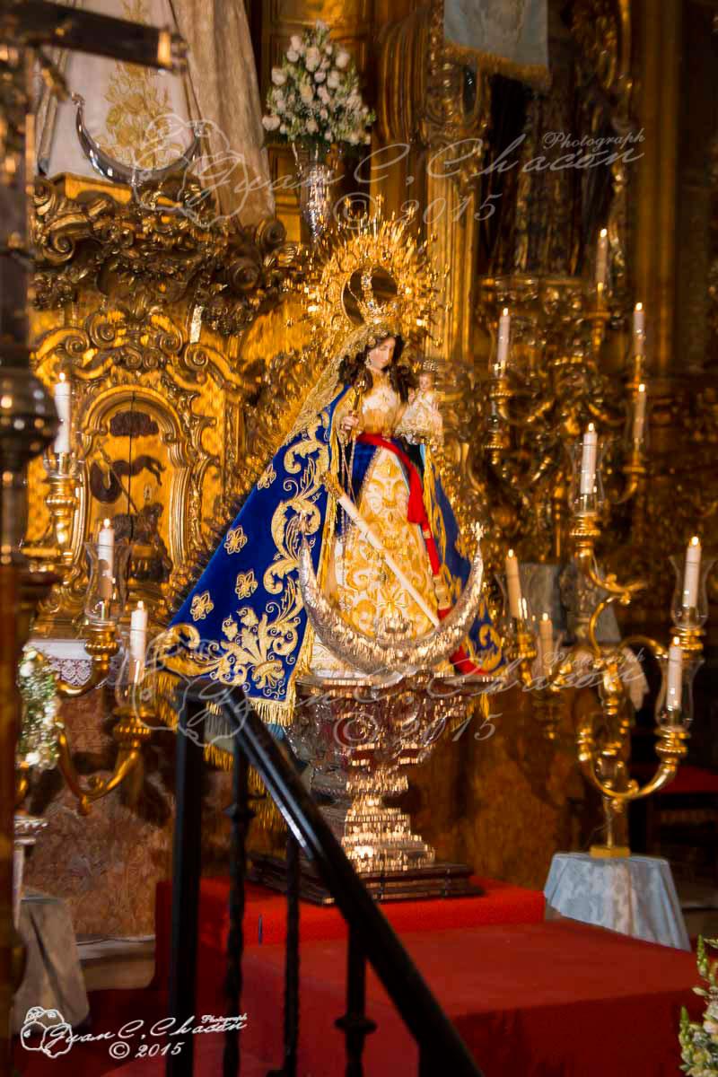 chaconphotograph tweet media