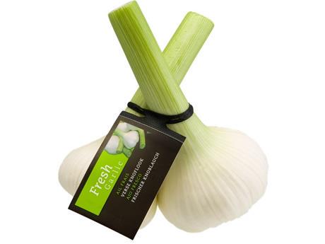 Gourmet oogst verse knoflook van eigen teelt <a href="/Gourmetbv/">Gourmet</a>
agf.nl/artikel/127448…