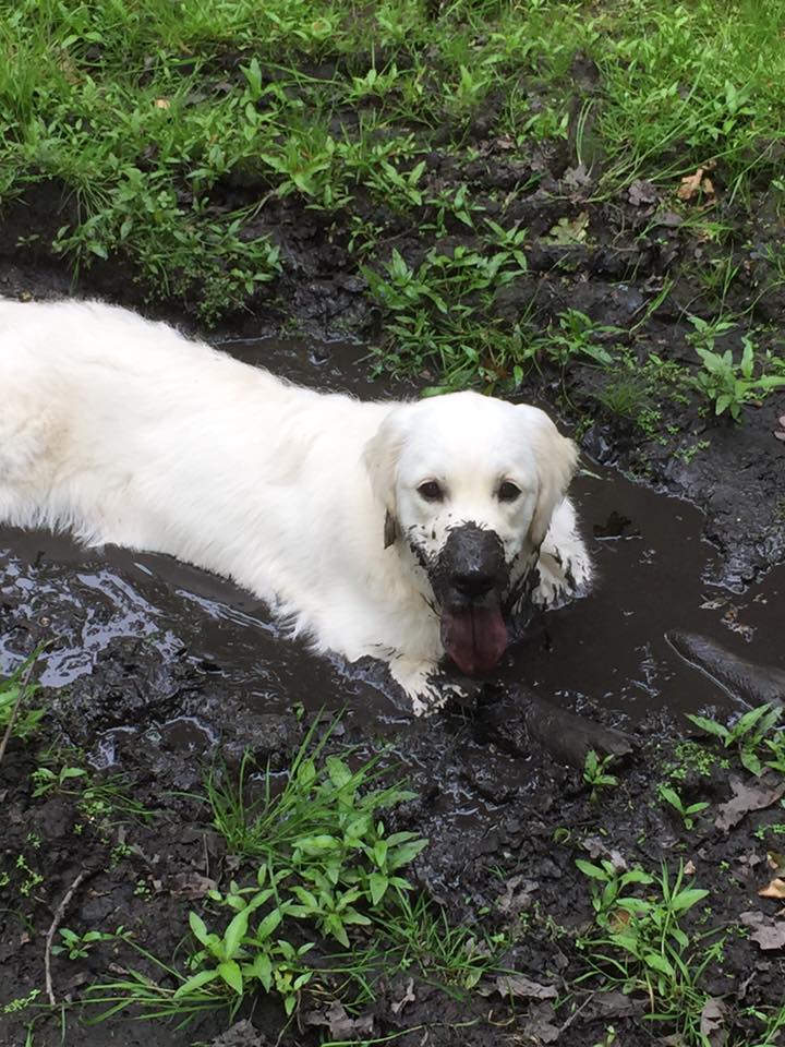 Kim Wicks tweet media