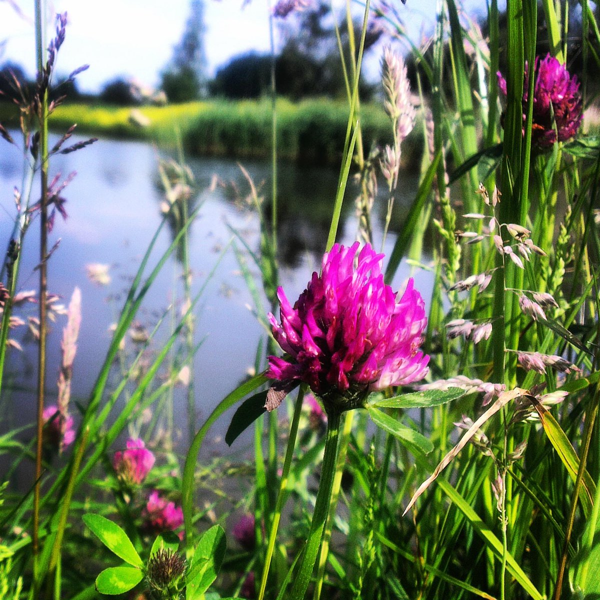 Ben jij lekker B(l)oeiend! Schrijf je nu in de voor leukste online cursus over kleur. bloei.biz/op-je-sloffen/