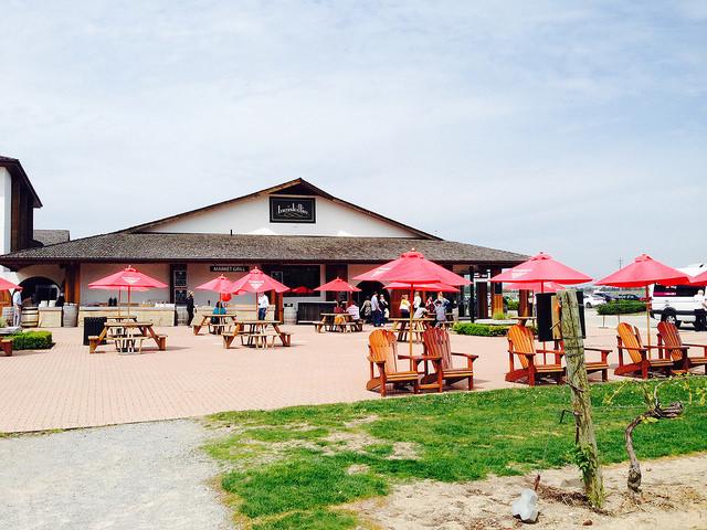 Caleigh. (@caleighalleyne) on Twitter photo Plan your own #GoGetaway this summer to <a href="/InniskillinWine/">Inniskillin</a> with <a href="/GOtransit/">GO Transit</a> the-booklet.com/get-away-this-… #wineON #discoverON Plan your own #GoGetaway this summer to <a href="/InniskillinWine/">Inniskillin</a> with <a href="/GOtransit/">GO Transit</a> the-booklet.com/get-away-this-… #wineON #discoverON