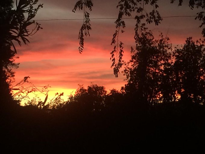 Took this last night! Beautiful ending to my filming on @StormyDaniels @WickedPictures #wanted :) http://t<a href="/tag/wanted"class="tags"><span>#wanted</span></a>