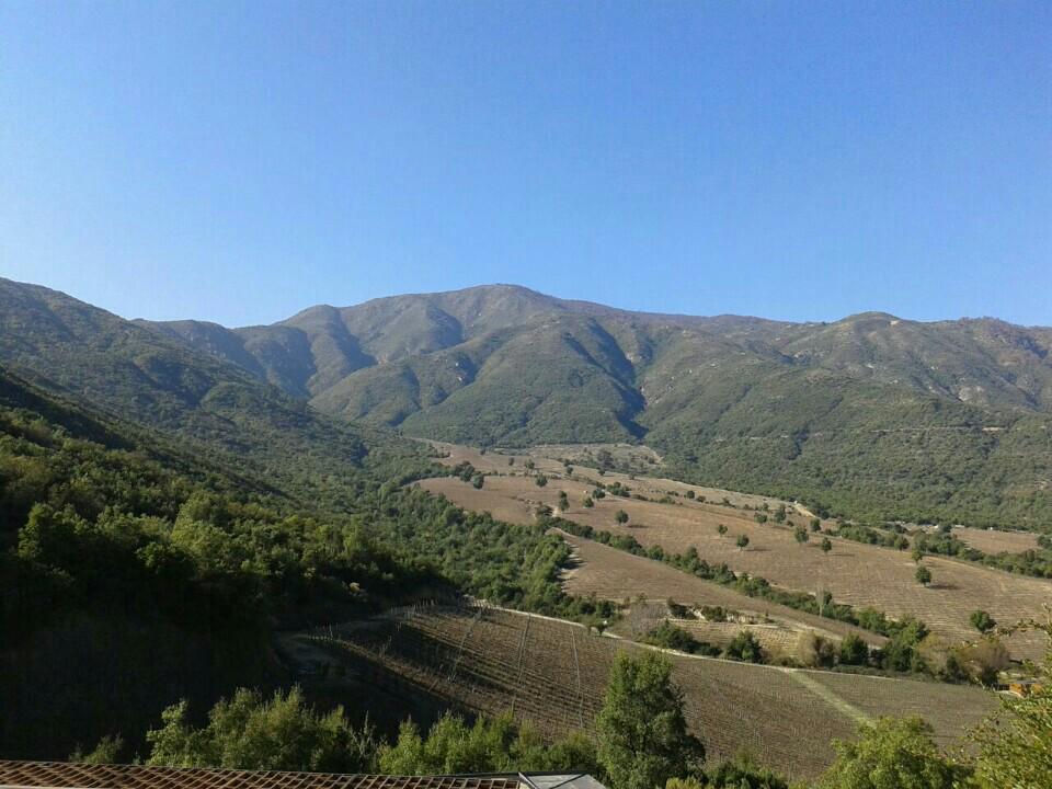 ivanmeyers's tweet photo. I'm at Clos Apalta Lapostolle https://t.co/RQWFcHEOuN http://t.co/busmN7X6Wh