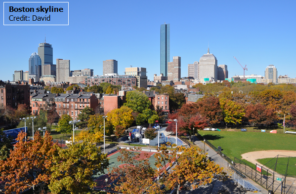 At today's preview event <a href="/The_RHS/">The RHS</a> #RHSHampton see the <a href="/VisitMA/">Visit Massachusetts</a> garden - find features of Boston Skyline @ttmworld