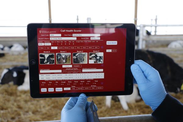 WIDiscovery's tweet photo. #Apps that make dairy farms run mooooore efficiently, from @uwvetmed #WisconsinIdea
http://t.co/keCCvijT6M http://t.co/gdCoLh8HWV