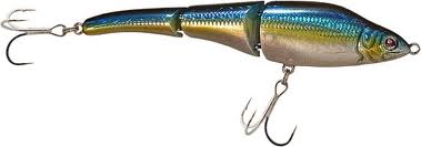 Terminal Angler 🇺🇸 tweet media