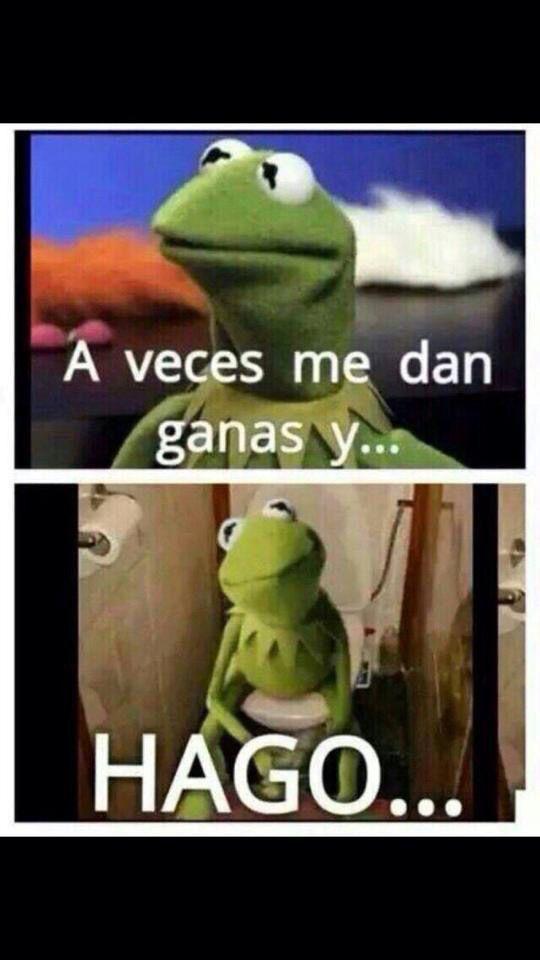 Las Rana Rene Memes Memes De Rana Rene