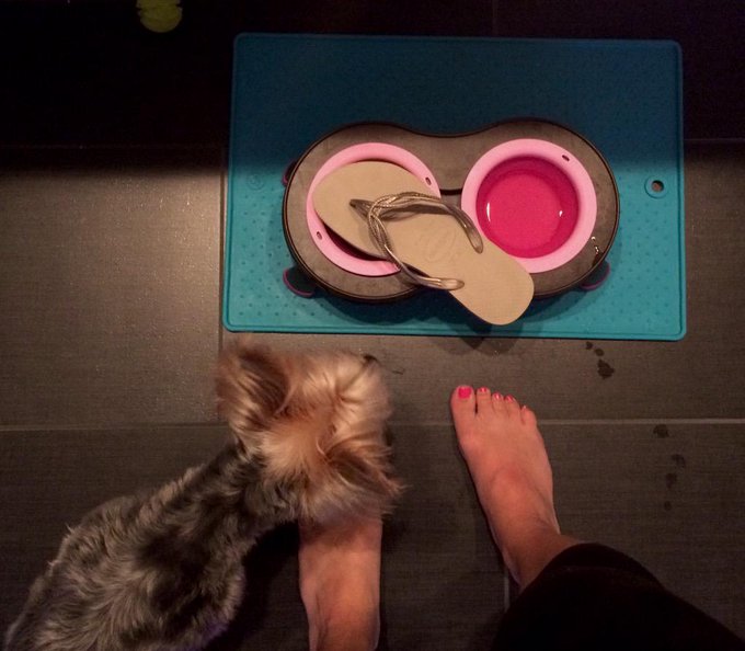 So you're saying my sandal walked to &amp; planted itself in your bowl on it's  own? *coughs*bullshit* http://t<a href="/tag/findom"class="tags"><span>#findom</span></a><a href="/tag/paypig"class="tags"><span>#paypig</span></a><a href="/tag/birthdaypig"class="tags"><span>#birthdaypig</span></a>