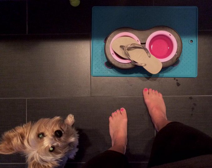 So you're saying my sandal walked to &amp; planted itself in your bowl on it's  own? *coughs*bullshit* http://t