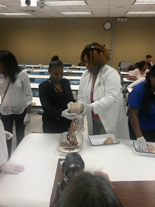 STEM Sister Summit tweet media