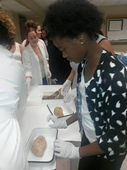 STEM Sister Summit tweet media