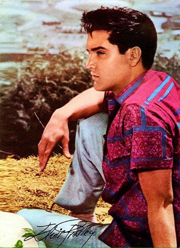Presleypic's tweet photo. #Elvis http://t.co/1Ly8mYhGRq