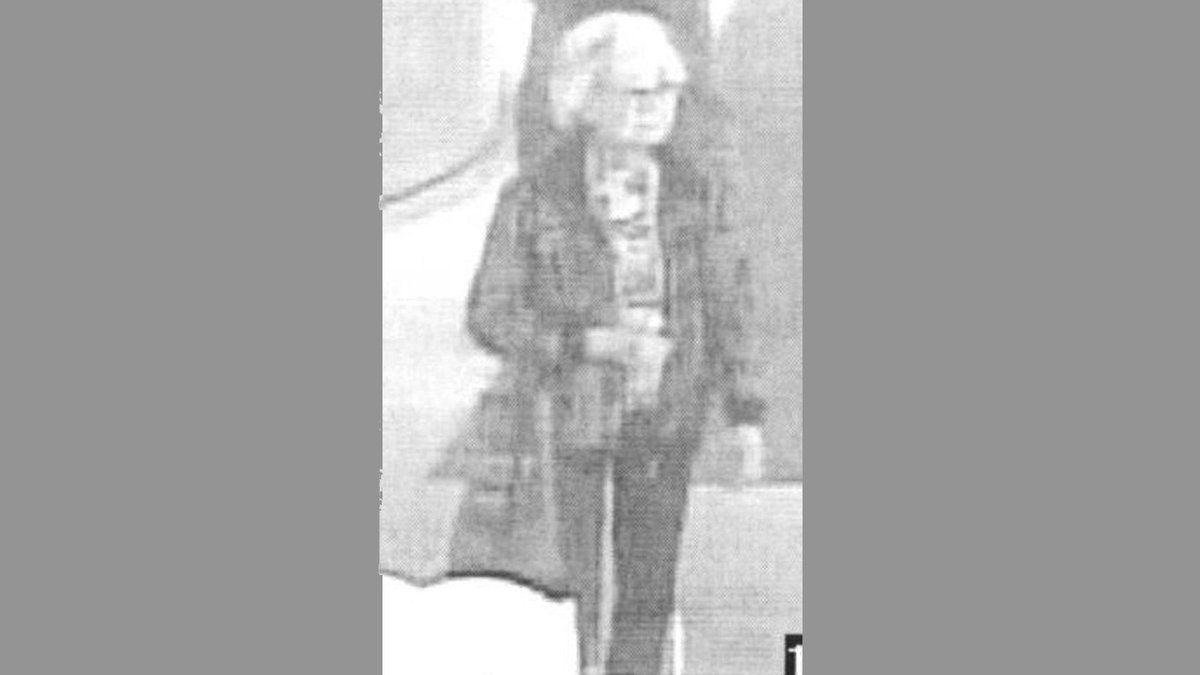 CP24's tweet image. Police looking for elderly woman after expensive Louis Vuitton purse snatched from AGO lobby cp24.com/news/elderly-w…