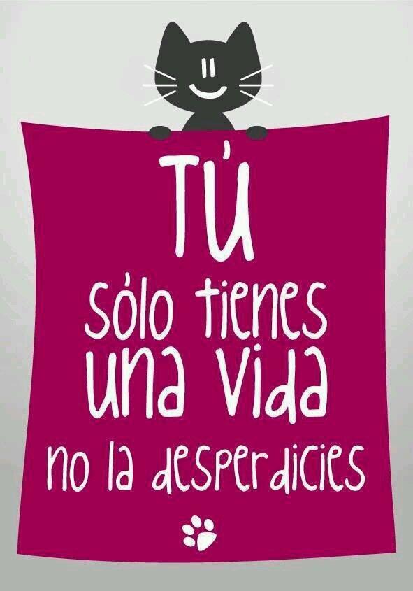 AlondraPartida's tweet photo. Aprovecha tu vida es única #Lunes #PorDíasFelices @AlvaroFerreiraO @GracyVillarreal http://t.co/Zu7AZcyDA5