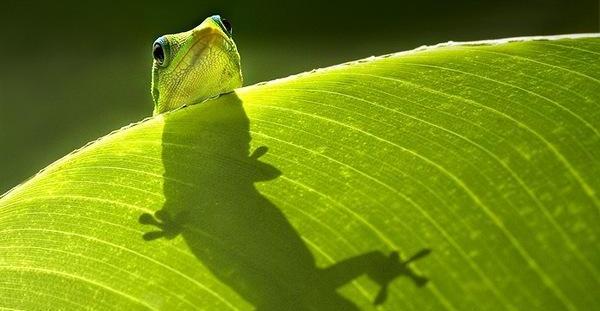 I don’t need to see you to know what you are doing. Now What? bit.ly/1eVaBs6  #ThereIsNoOff <a href="/CIOonline/">CIO.com</a>