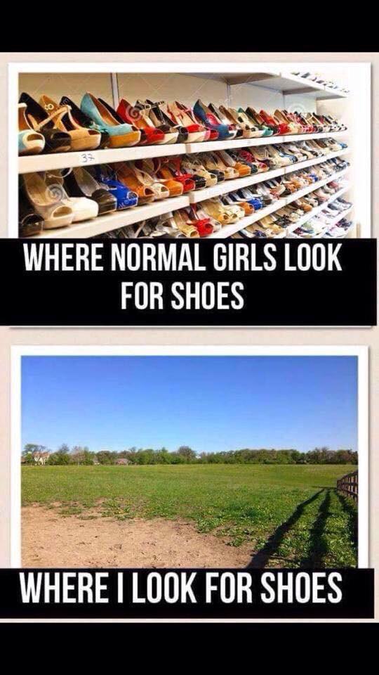 rodeolyfe's tweet image. Lol