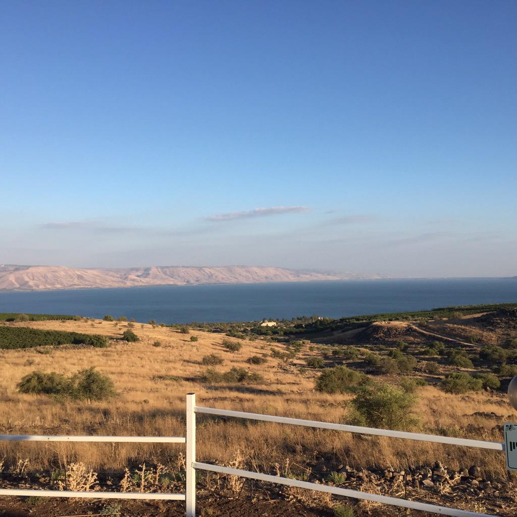 Epic Israel tweet media