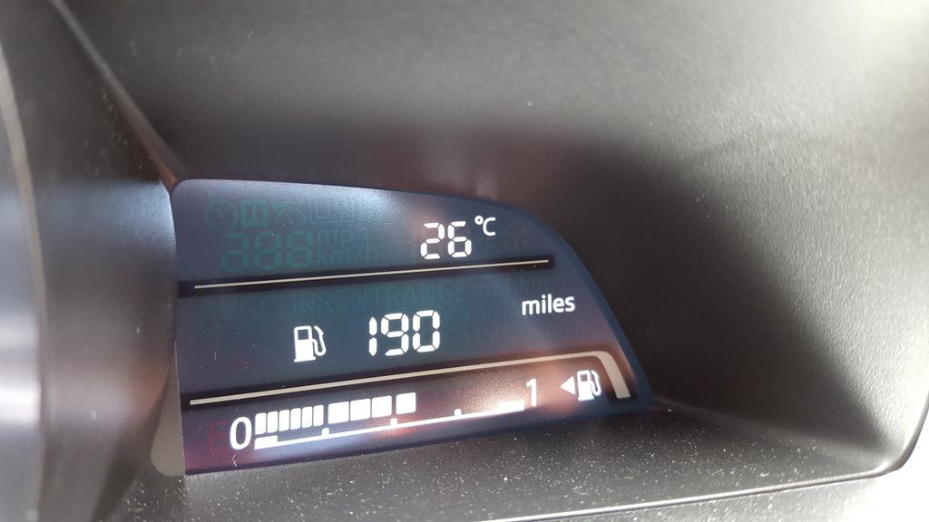 Maybe summers here finally ?