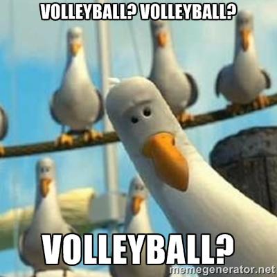 MicrolinksC's tweet image. Summer is here so why not join Microlinks Volleyball Camp? Contact 905-224-0135 ext 101 or jared@microlinkscentre.com