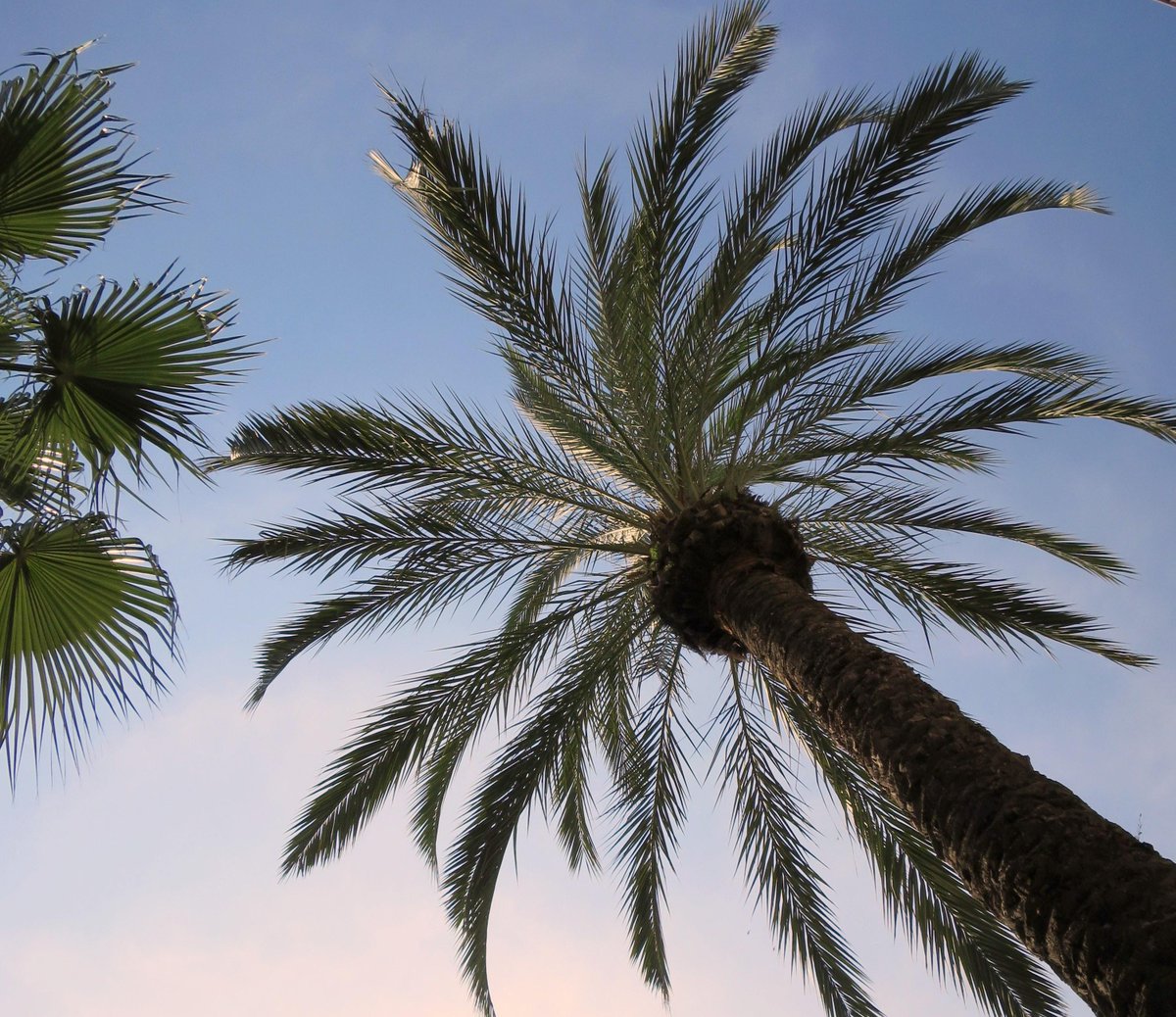 Hôtel Gray d'Albion  tweet media