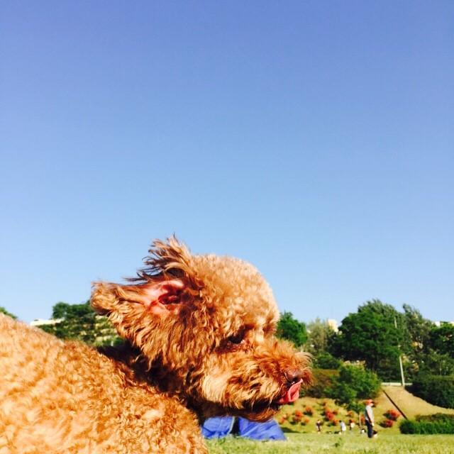Sylvinie89's tweet photo. Kim Keybum went for a walk together with Kim Kkomde and Kim Garcons #Keystagram #Weibom http://t.co/AmyJmxgDf3