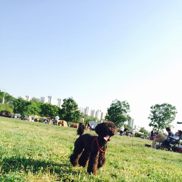 Sylvinie89's tweet photo. Kim Keybum went for a walk together with Kim Kkomde and Kim Garcons #Keystagram #Weibom http://t.co/AmyJmxgDf3