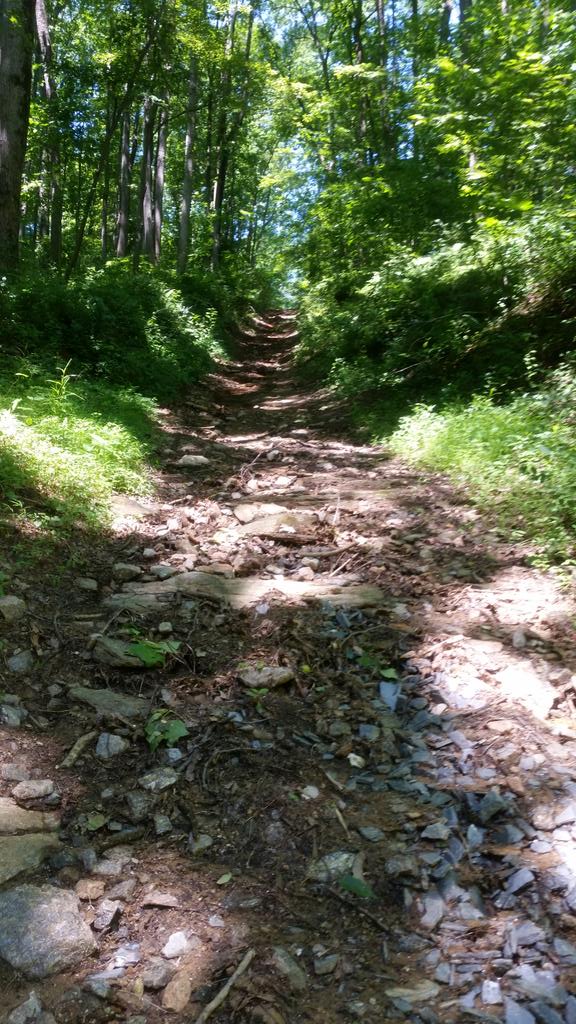 JP_CROW14's tweet photo. @MurphyBirthday , @TrainAtElevate , @TheLacesWereIn #thatsmycoach #firetrails #chasetherabbit http://t.co/gUmIo8AKbG